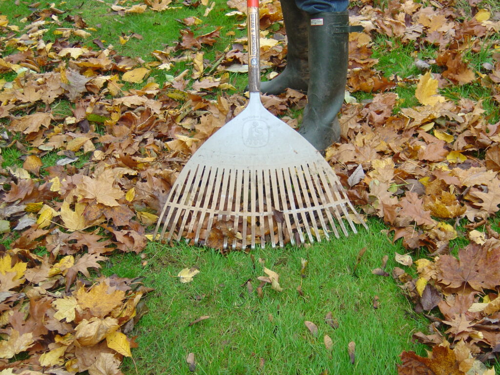 Don't let the leaves get too thick on the ground!