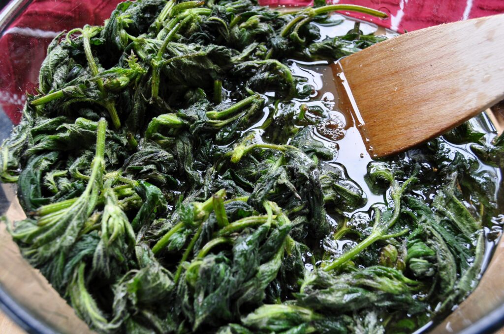 Nettle cordial Stir to cover web