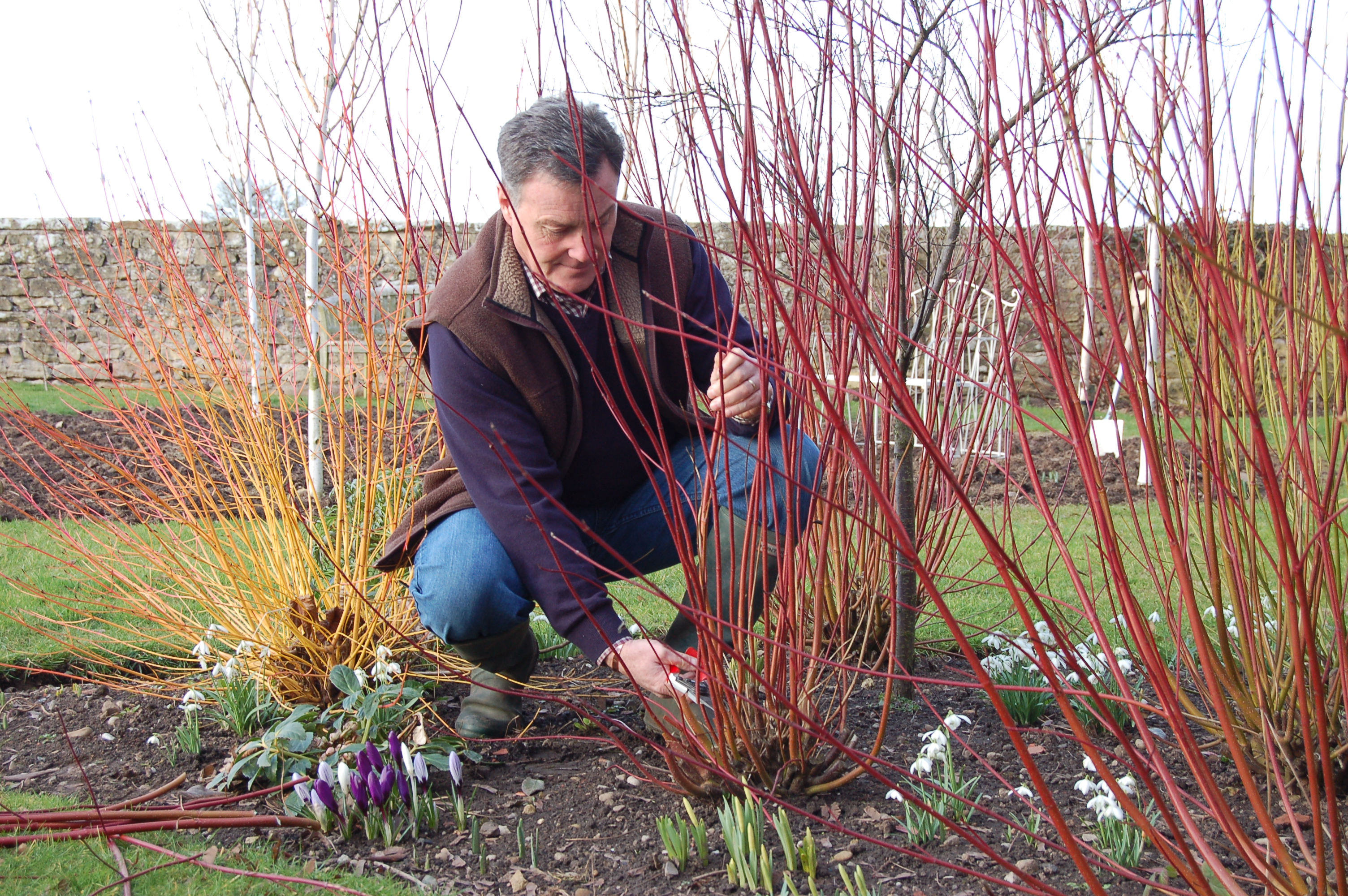 Jobs In The Garden
