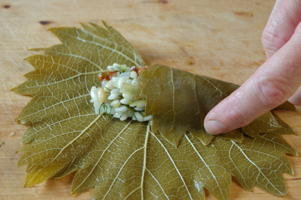 Vine leaves for dolmades