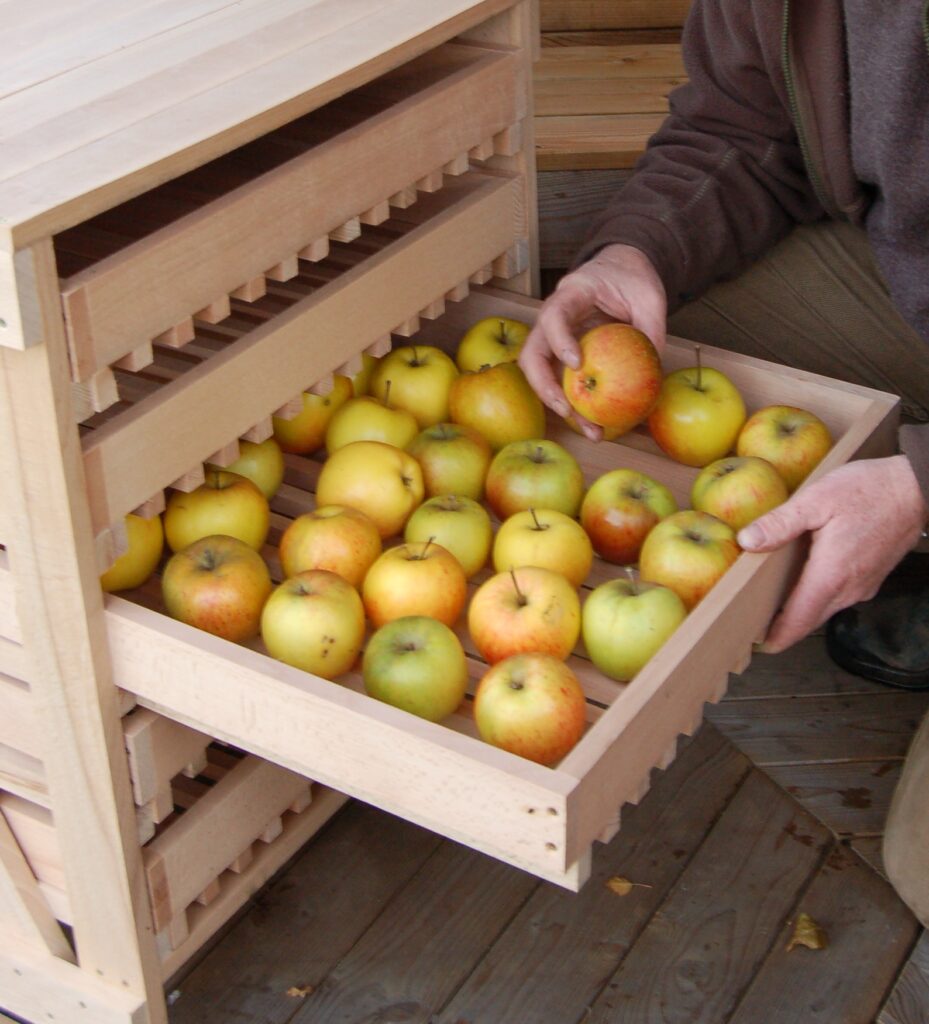 Keep and eye on stored apples