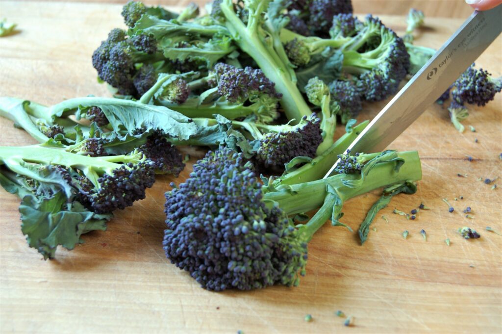 Brassicas - Broccoli - slit stems for even cooking