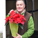 Poinsettia care - main pic web (2)