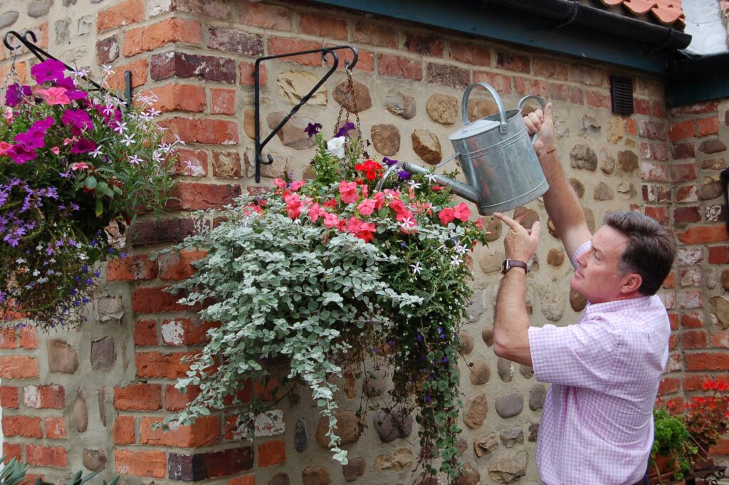 Water hanging baskets regularly in warm weather web