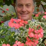 Established pelargoniums provide cuttings at this time of the year. web (2)