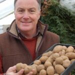 Chit potatoes - main pic web