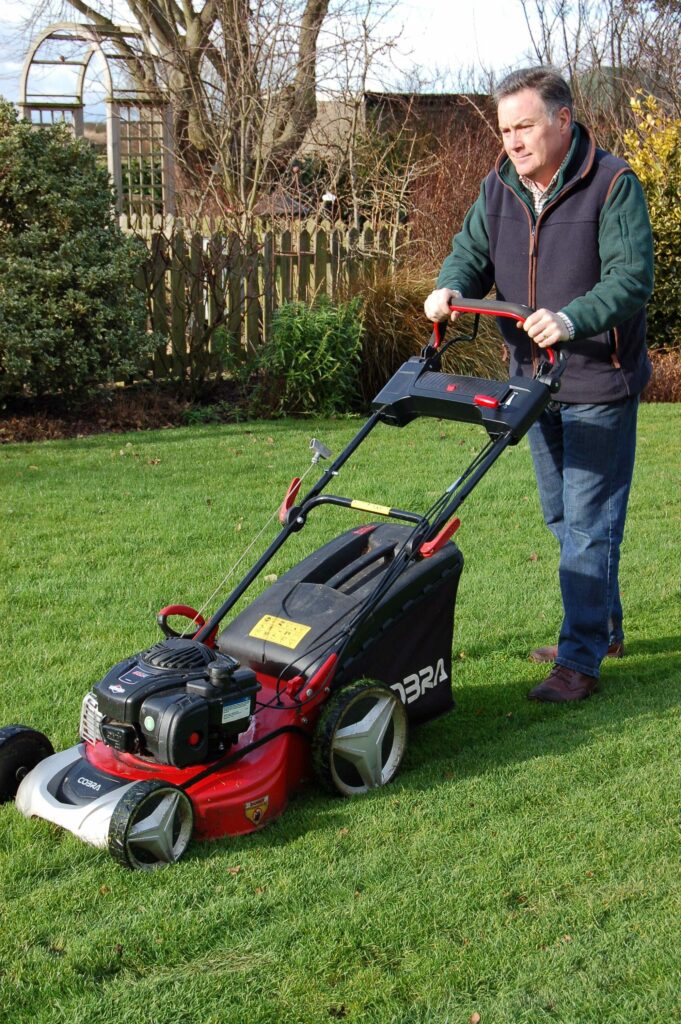 Start mowing the lawn web