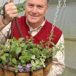 Main pic. Planting summer baskets (2) web